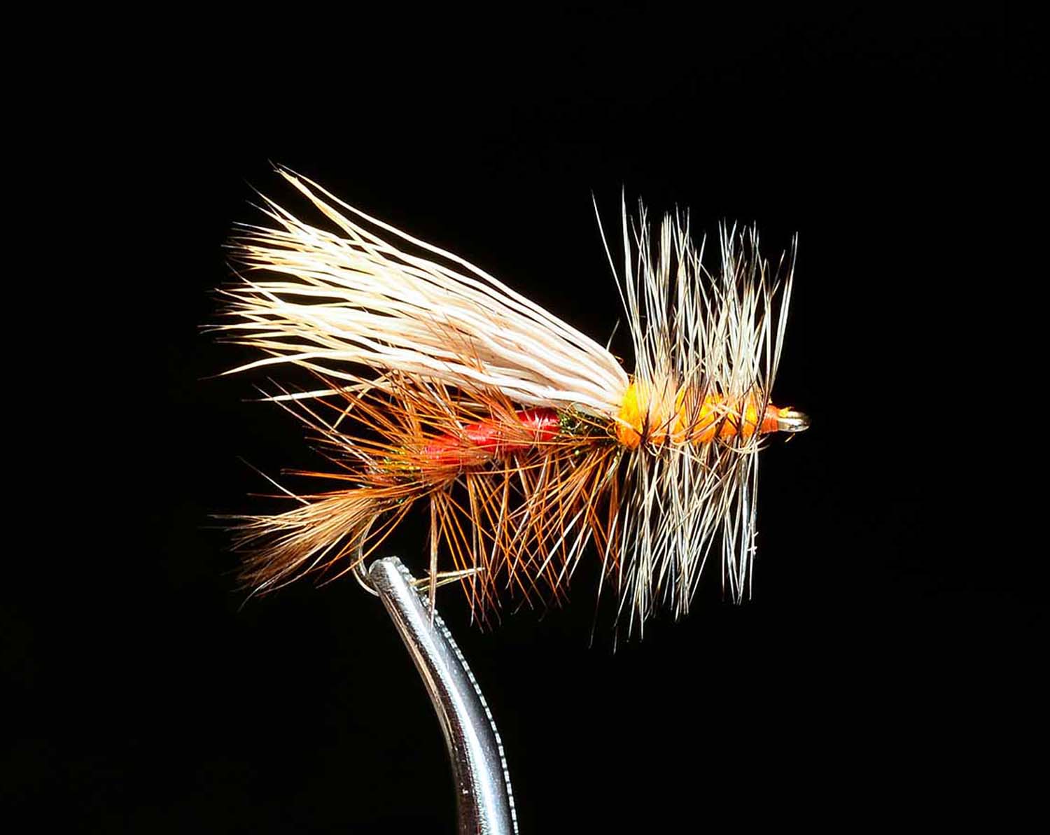 Stonefly Assortment