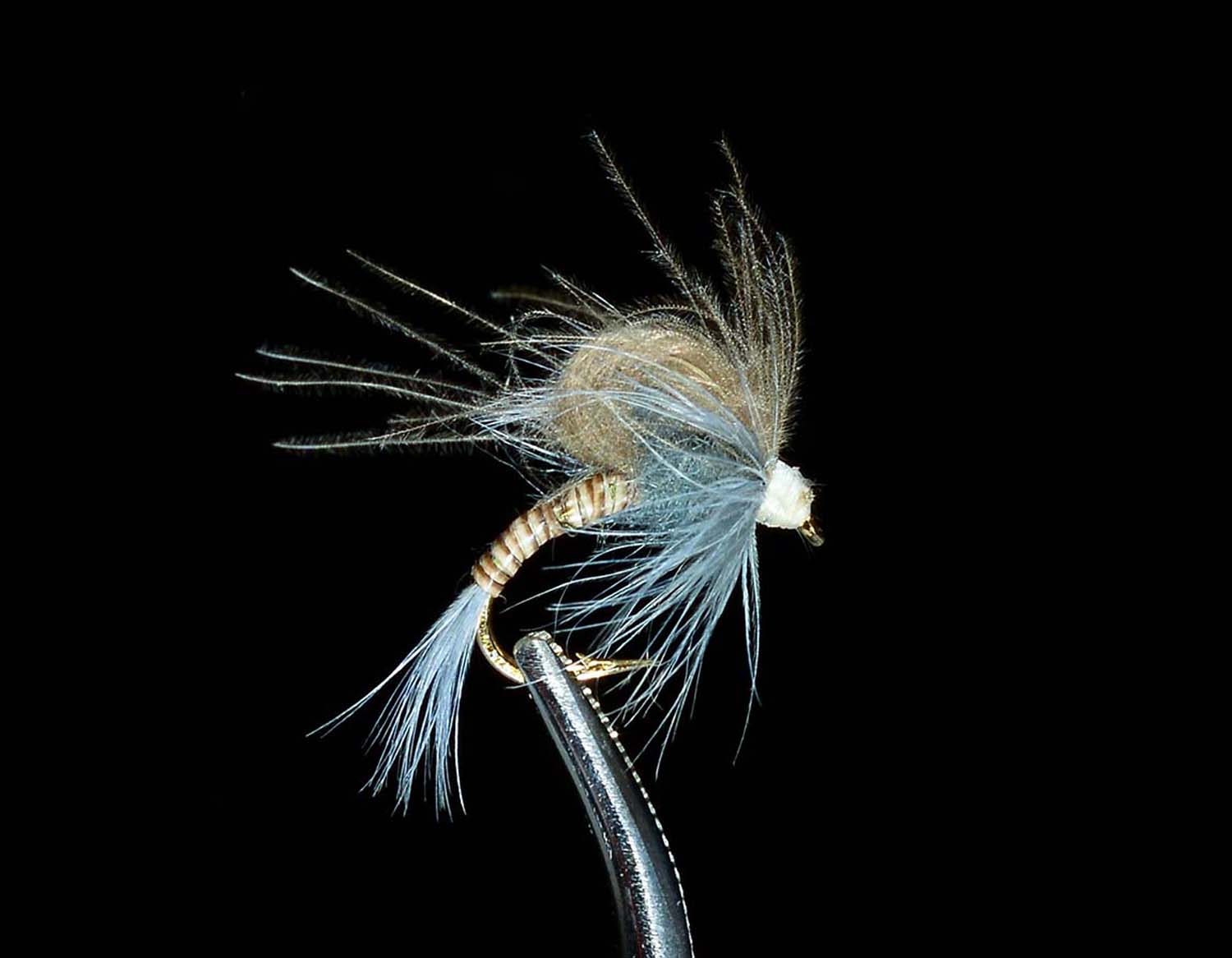 CDC Loopwing Emerger