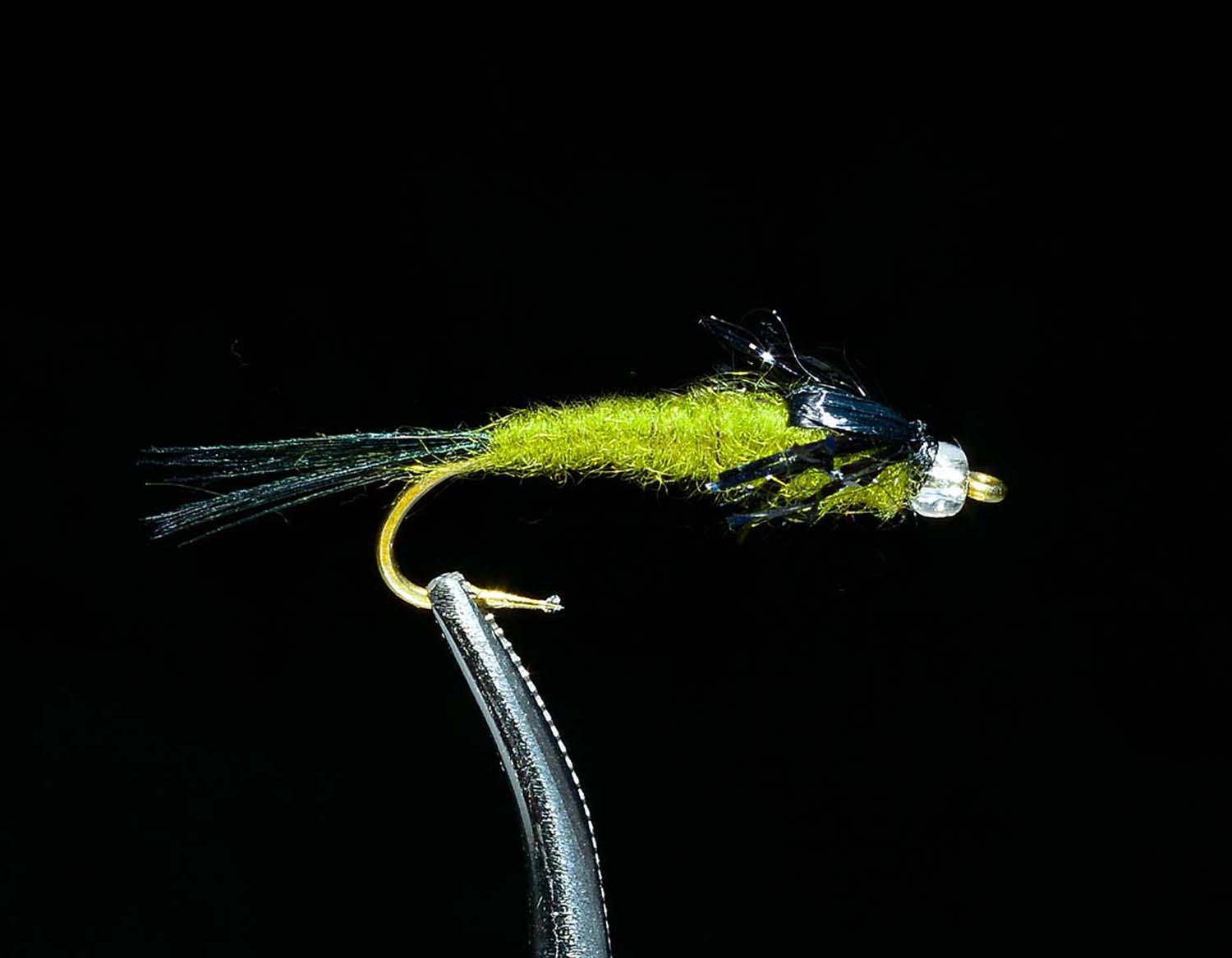 Mercury Baetis