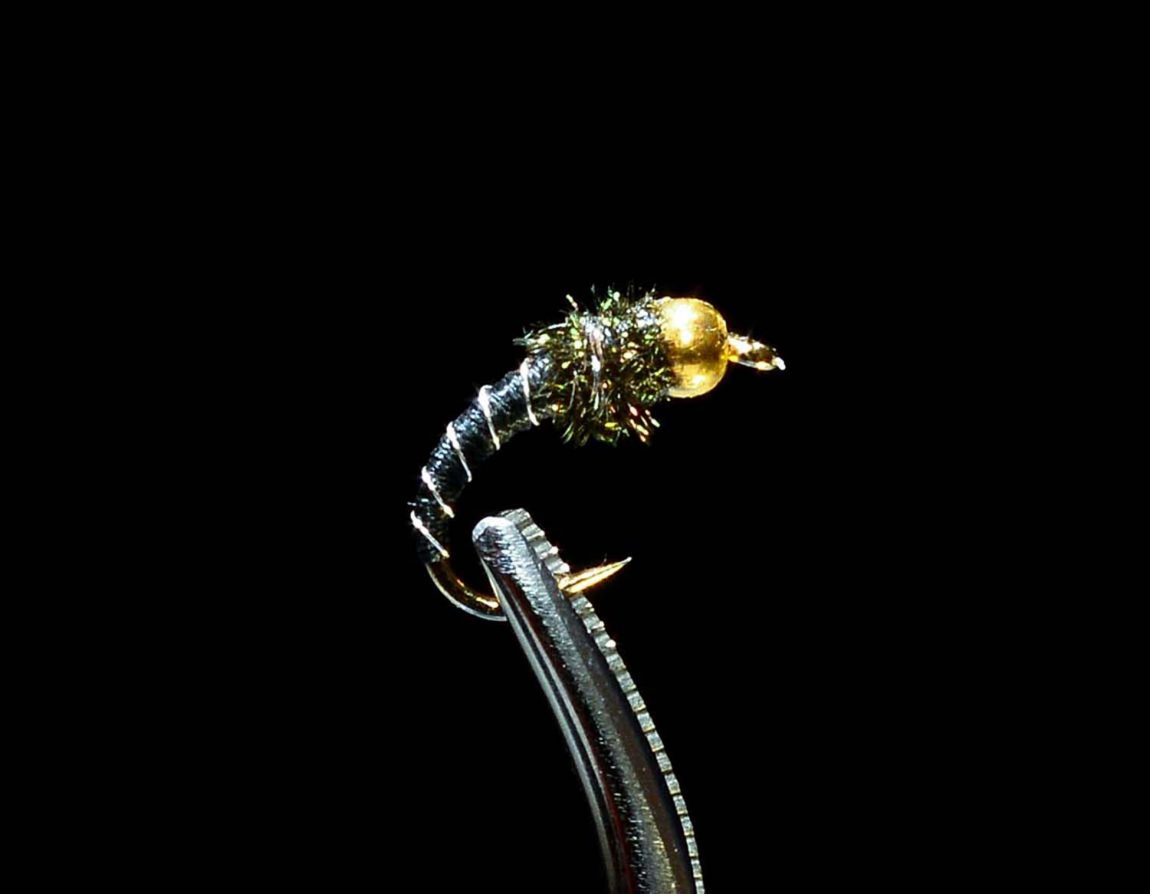 Spring Fly Assortment