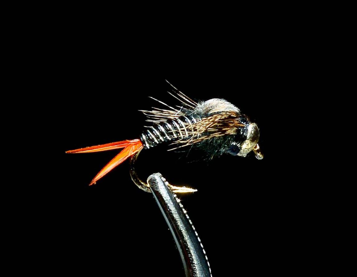 Summer Fly Assortment