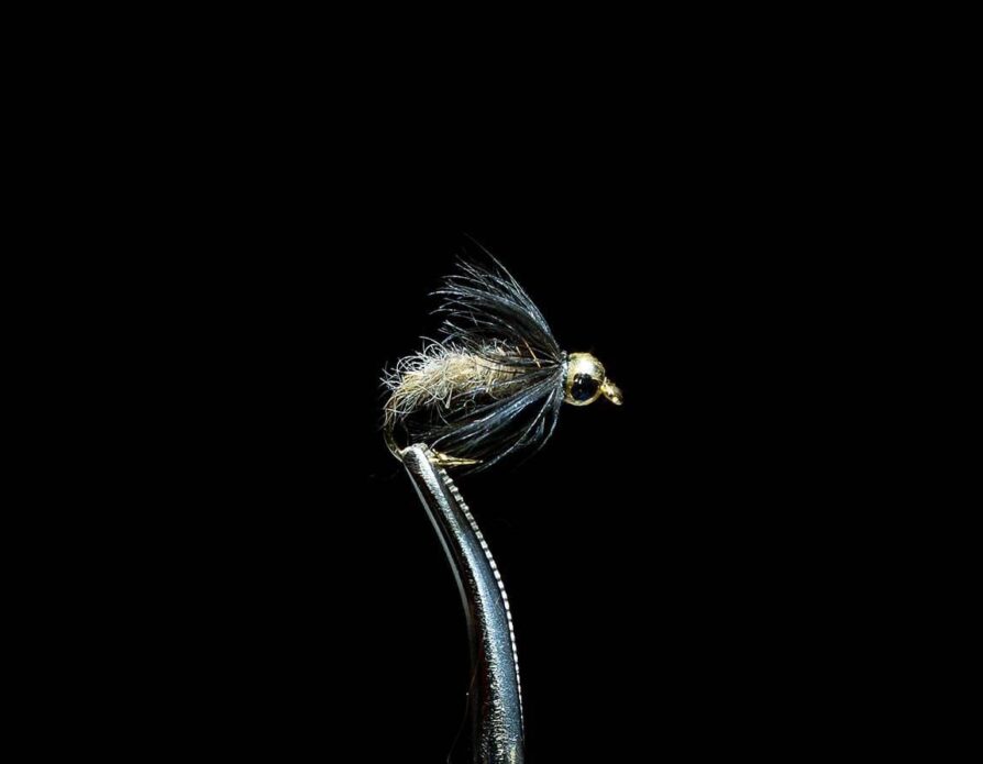 Beadhead Cased Caddis
