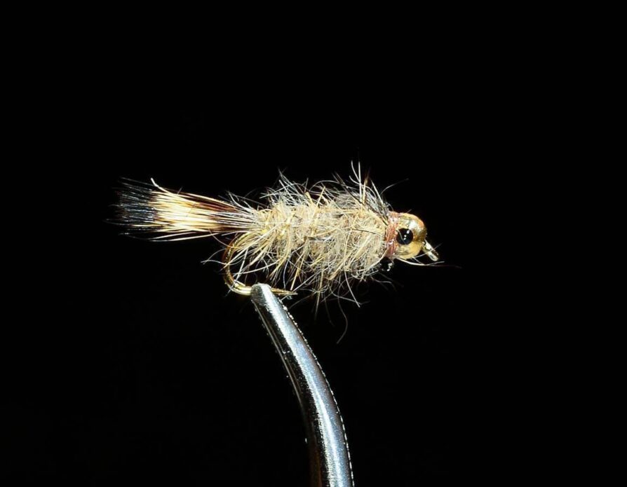 Beadhead Hares Ear
